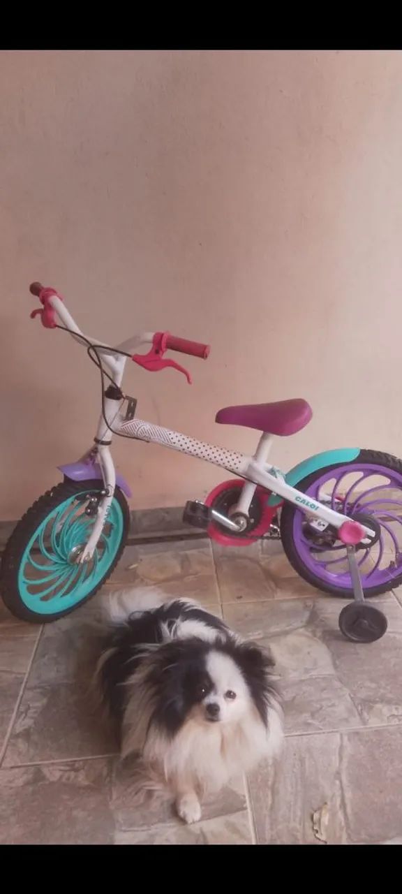 Bicicleta  - Foto 2