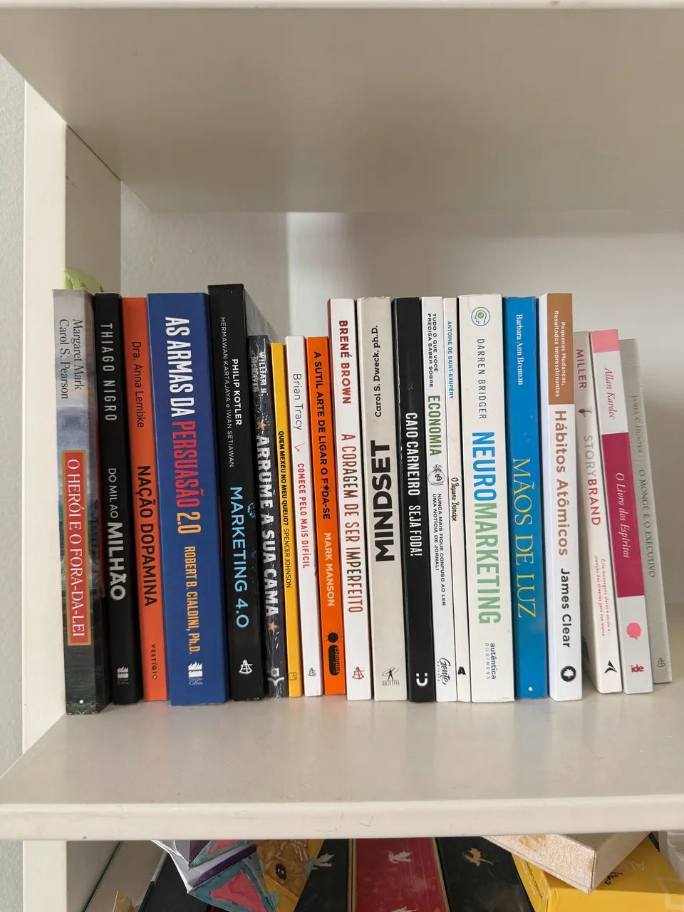 Qualquer livro 15 reais 