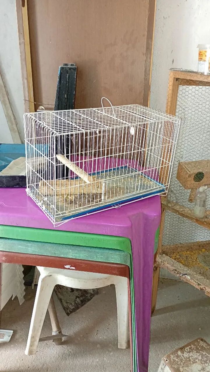 Gaiola  - Foto 3