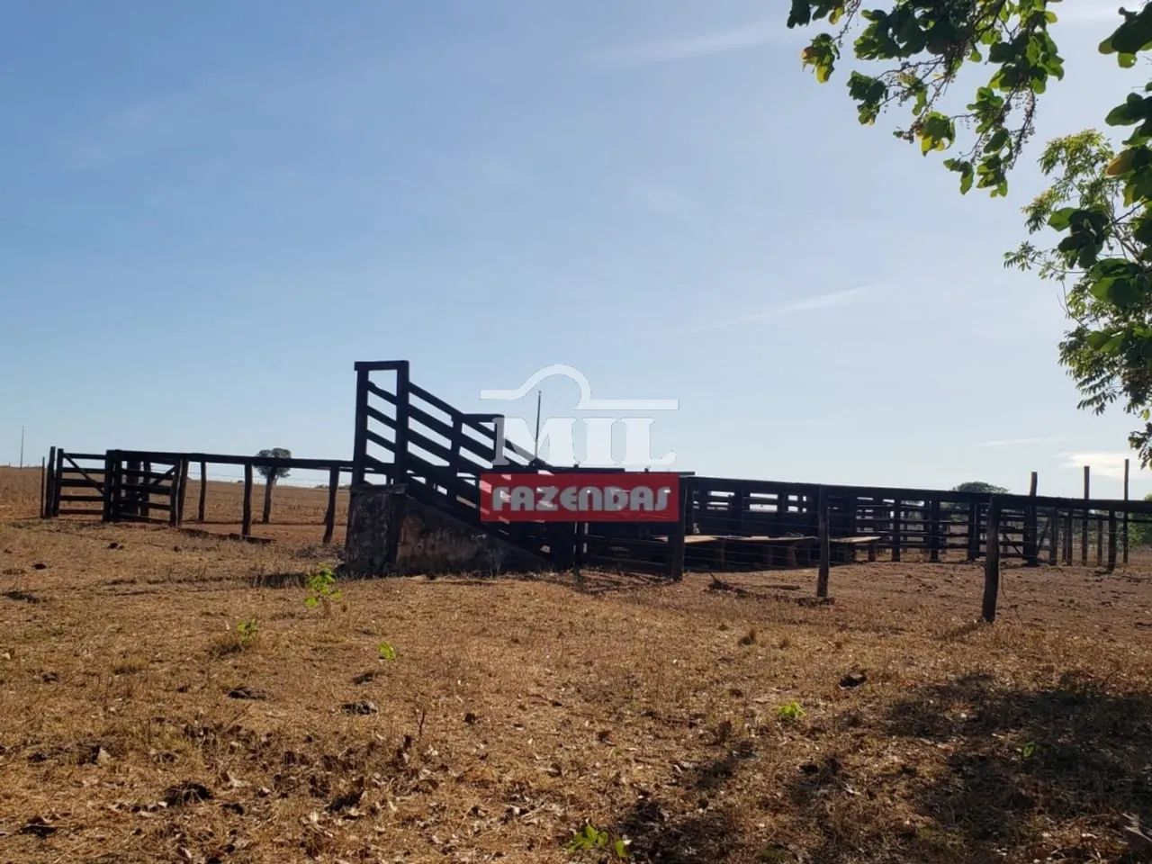 Fazenda em Araguaçu-TO - Foto 3