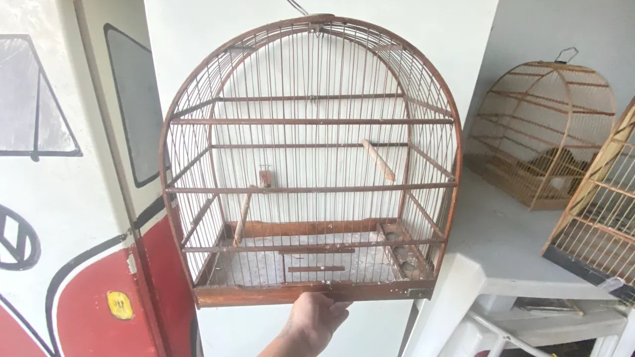Gaiola  - Foto 5