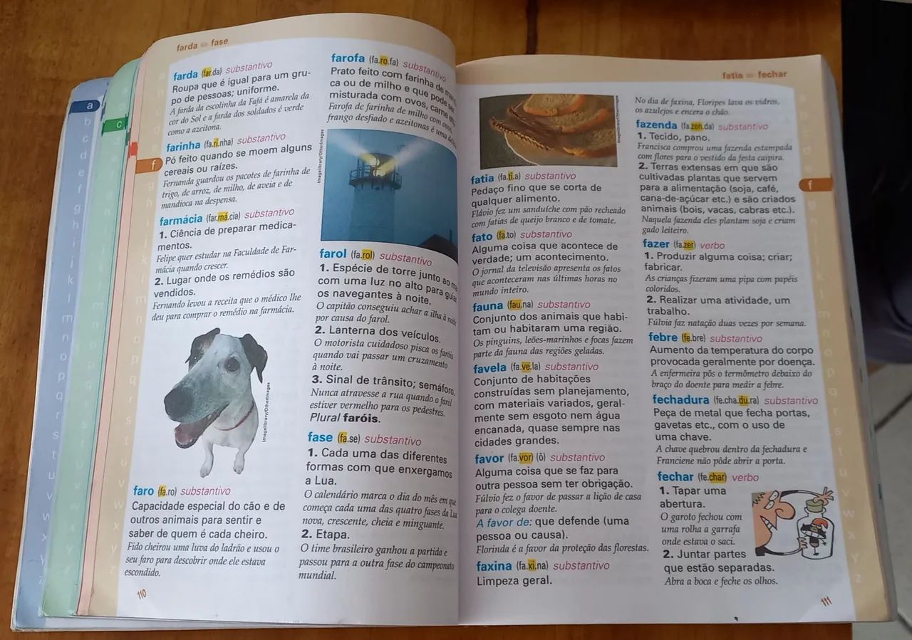 Dicionário ilustrado  - Foto 4