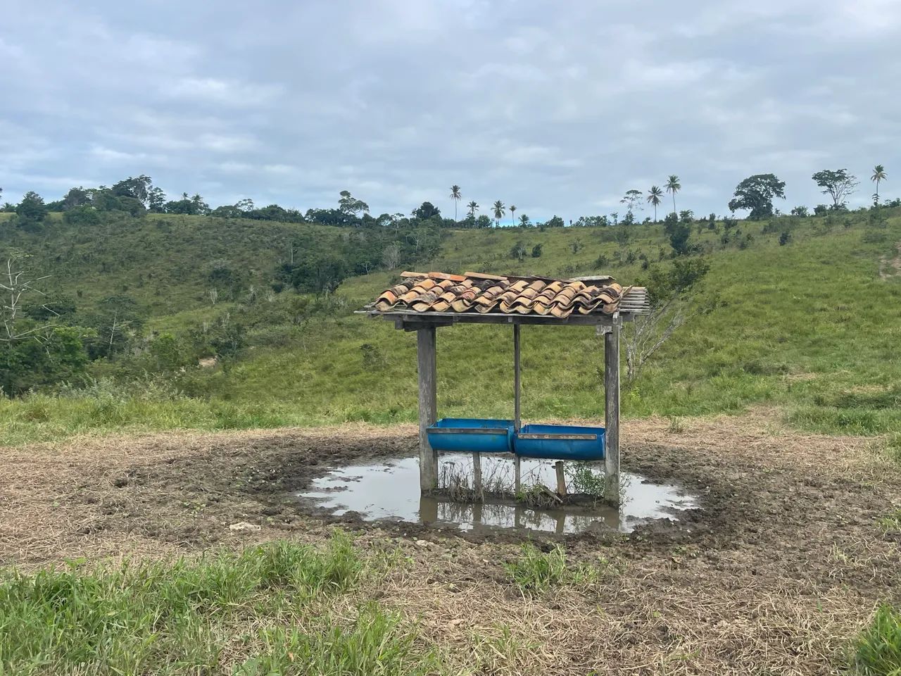 Fazenda em Santa Luiza do Itanhy - Foto 3