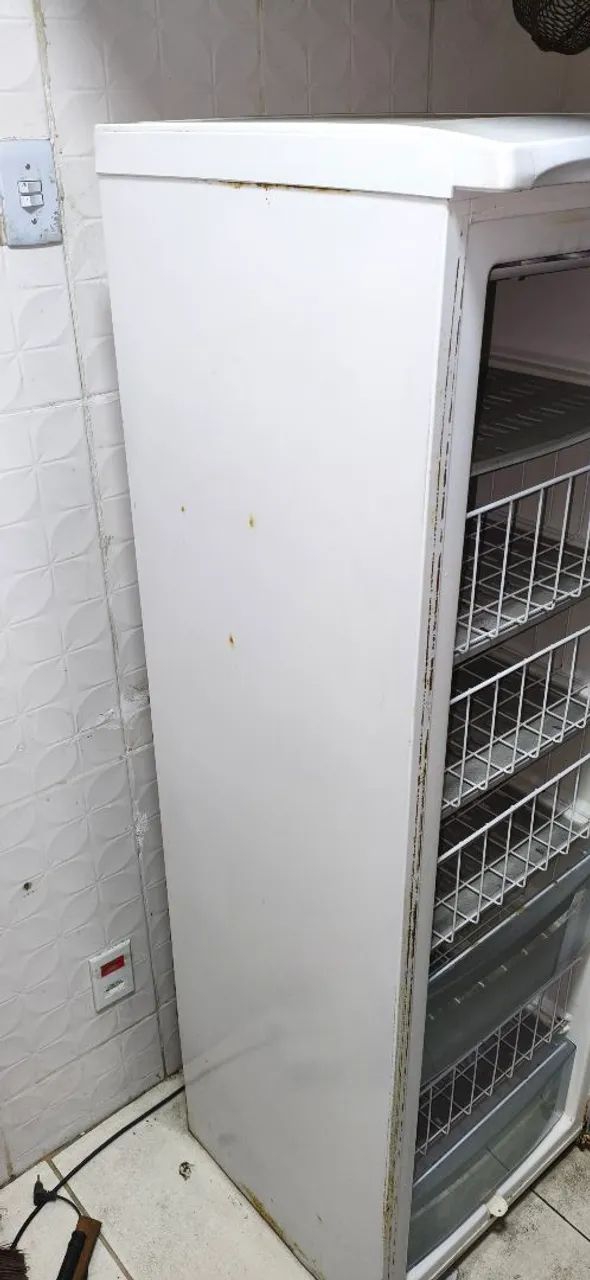FREEZER VERTICAL ELECTROLUX  - Foto 5