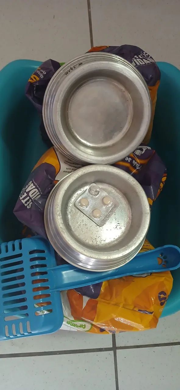 Kit Para gatinhos 