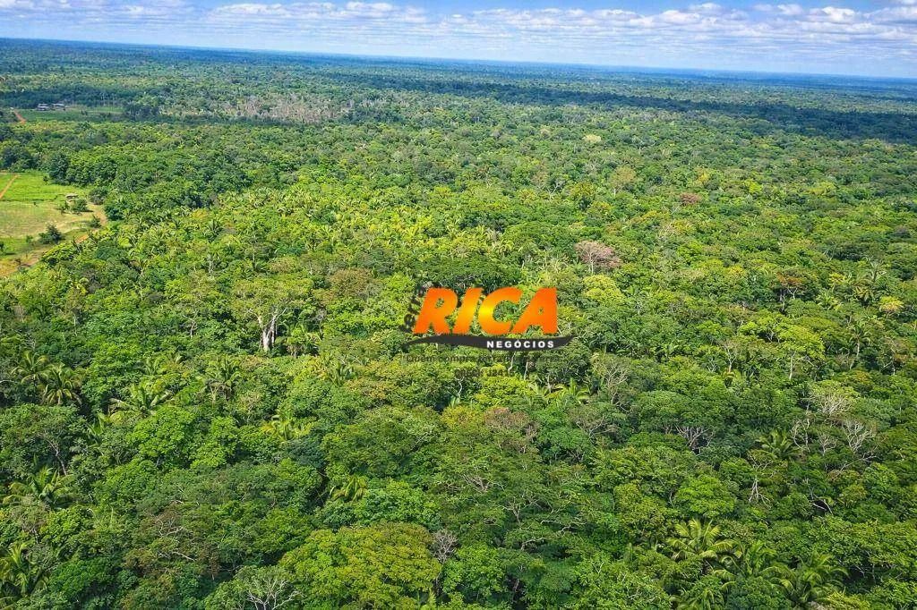 Fazenda à venda - 37 km de Porto Velho /RO - Foto 2