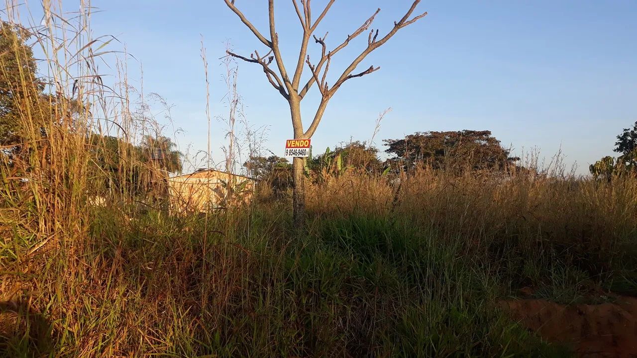 Ferro de telhado 