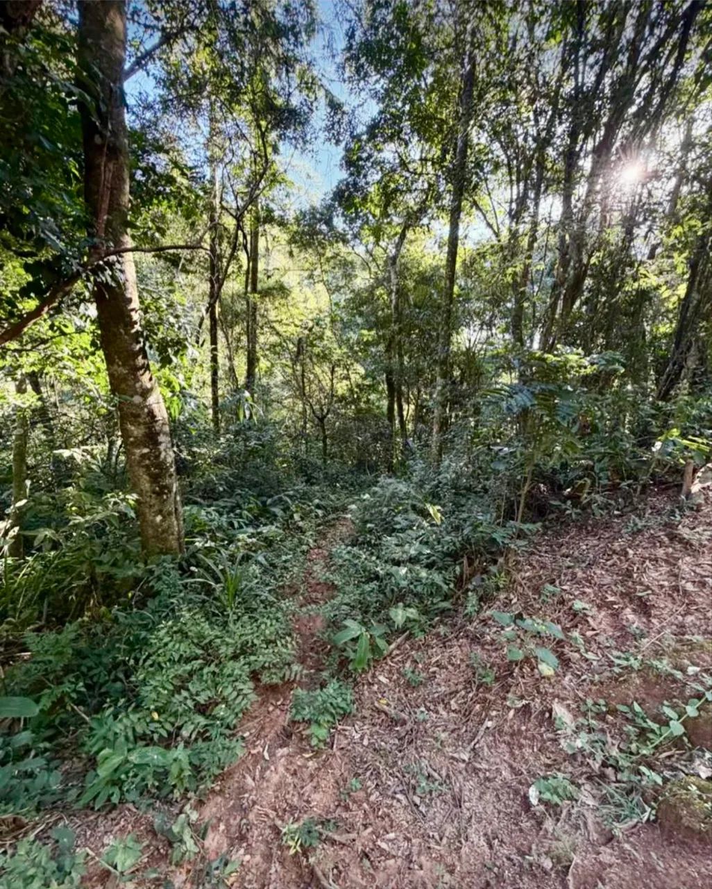 Vendo 8500m2 Terreno em Mairiporã 