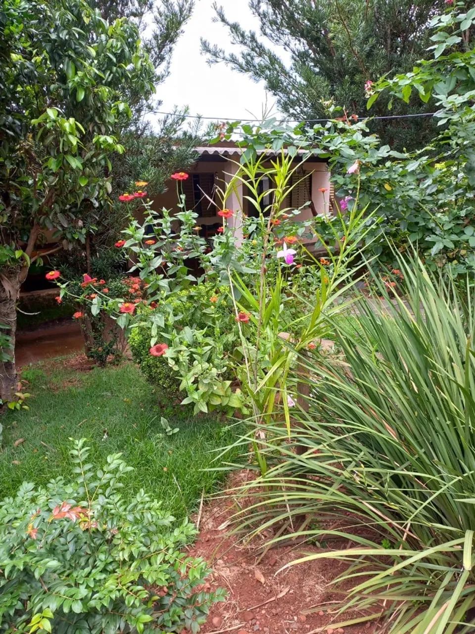 Casa no distrito de Martinesia - Foto 3