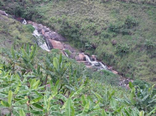Fazenda com 80 hectares em Amaraji/Pe - REF. 286 - Foto 13