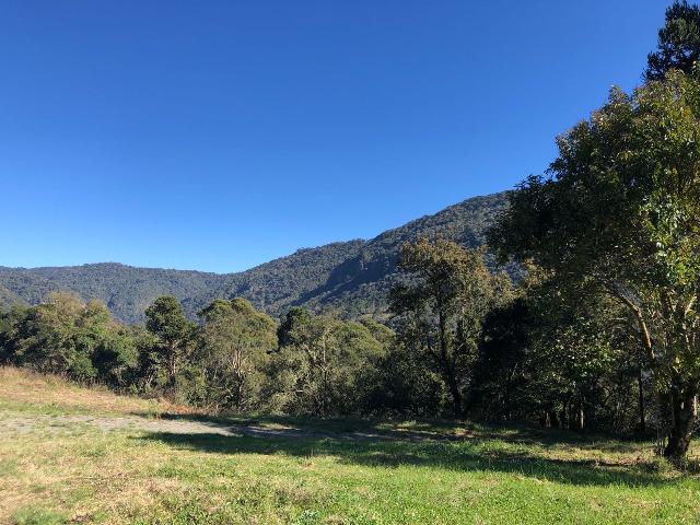 Excelente terreno a venda em Urubici. - Foto 2
