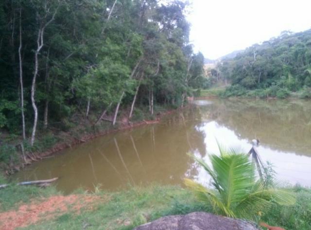 Sítio em Belvedere - Foto 4