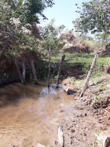 Terreno São Luis Montes Belos - Foto 9