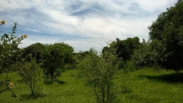 Encantadora Chácara à Venda em Araruama/RJ - Foto 9