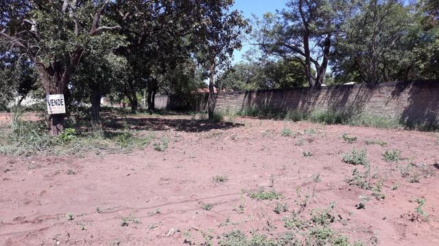 Vendo lote na comercial vicinal AV LO 25 1104 sul - Foto 2