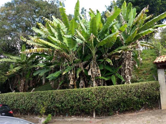 Excelente terreno no centro de Teresópolis - Foto 7