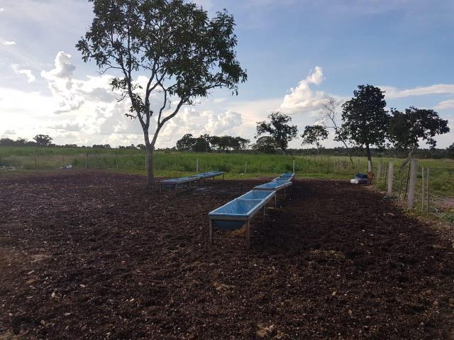 Sítio na br 050 próximo de cuiabá - Foto 8