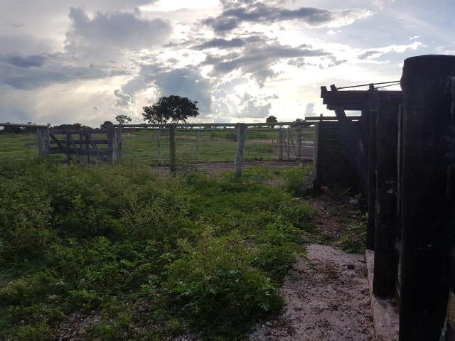 Sítio na br 050 próximo de cuiabá - Foto 3