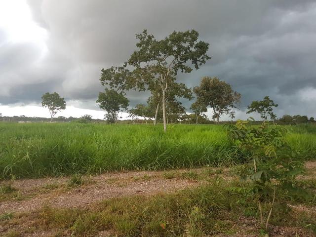 Sítio na br 050 próximo de cuiabá - Foto 13