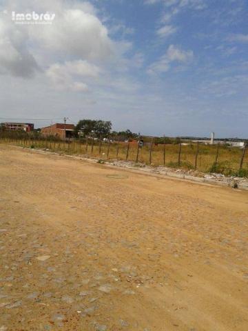 Terreno, Anel viário BR-116, Pedras, Messejana, Fortaleza, Terreno à venda! - Foto 3