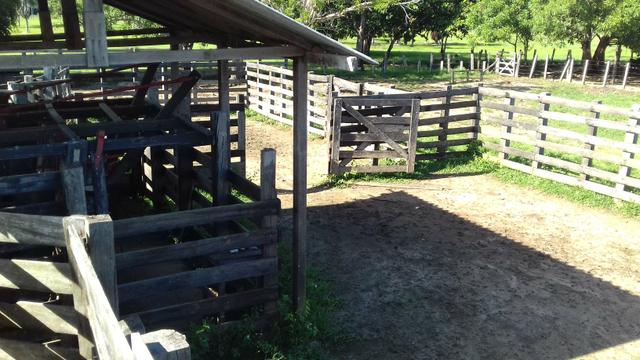 Vendo Fazenda em São João da baliza - Foto 2
