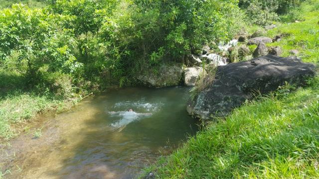 Sítio de 14 alqueires ou 68.320 hectares em Silva Jardim RJ - Foto 2