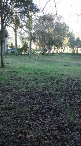 Chácara com 15.400 m² Campo Largo da Roseira - Foto 15