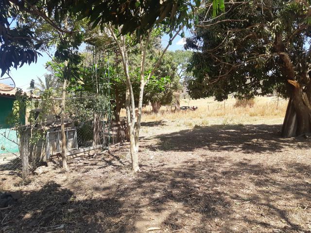 Meio Alqueire em Goiânia Prox a Teresópolis com Casa e Energia e Muita Água - Foto 3