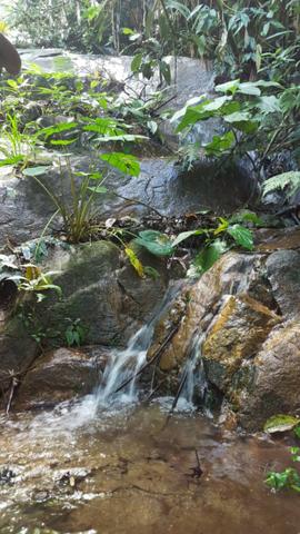 Sítio de 14 alqueires ou 68.320 hectares em Silva Jardim RJ - Foto 7
