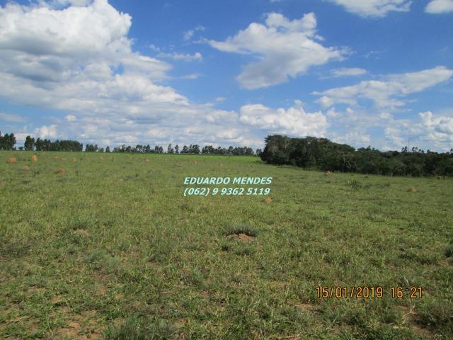 Terra c/ um alqueire sem benfeitorias, 600 metros da BR 060 Abadiânia, expansão Urbana - Foto 14