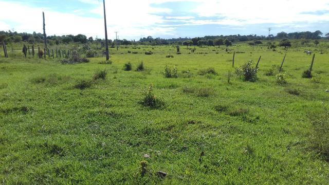 Vendo Fazenda em São João da baliza - Foto 7