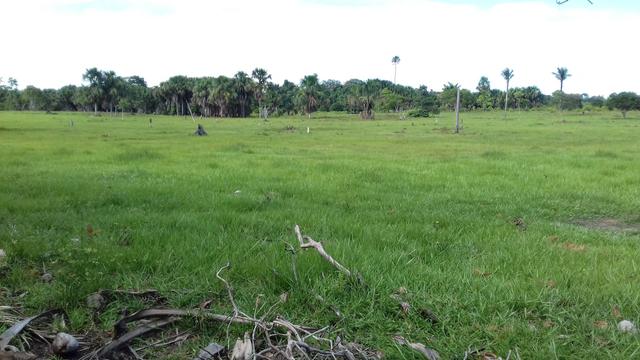 Vendo Fazenda em São João da baliza - Foto 8