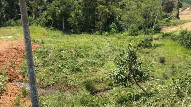 Vendo - Chácara em Alto Peçanha - Região da Pedra Azul - Domingos Martins - Foto 2