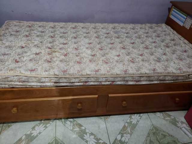 Cama - Foto 2
