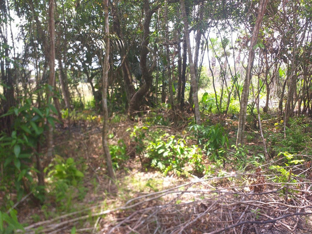 Vendo terreno