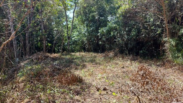 Terreno Vilas Romanas - Foto 2