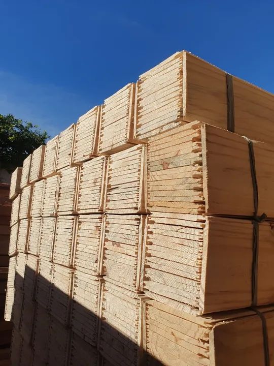 Forro de Pinus natural 