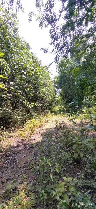 //Lote em Açutuba com 4 mil m2 - Foto 2