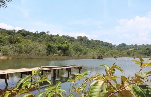 Chácaras Rústicas com acesso ao Rio Negro, parcelas Fixas de 550,00 - Foto 2