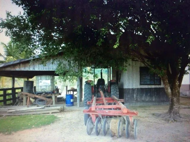 Fazenda à venda, 1 quarto, RODOVIA - NOVA MONTE VERDE/MT - Foto 3