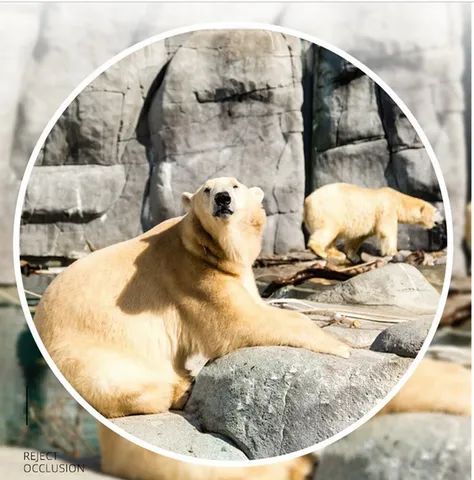 Binóculos 40x22 para caça, esportes - Foto 4