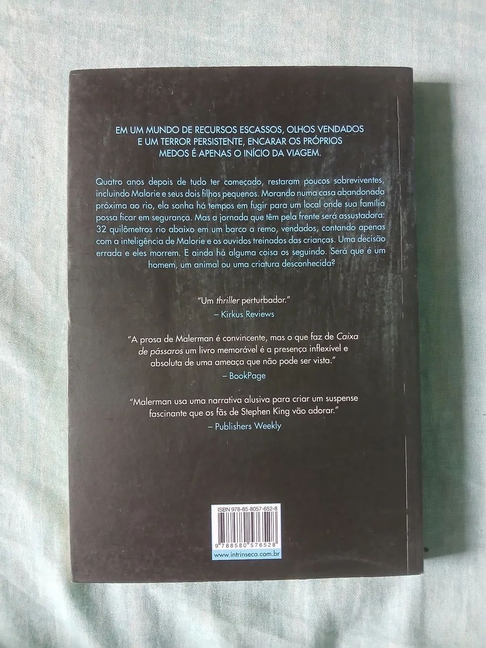 Caixa de Pássaros - Josh Malerman - Foto 2
