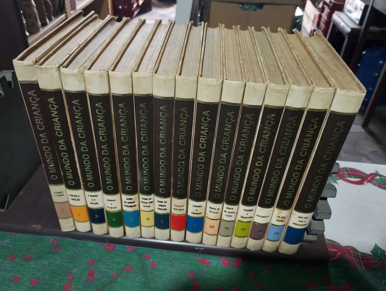 Coleção O Mundo da Criança - 15 Volumes - Decorações Para Casa