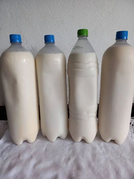 Leite Puro de Vaca produto raiz