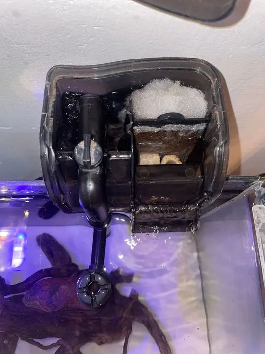 Aquário de água Doce