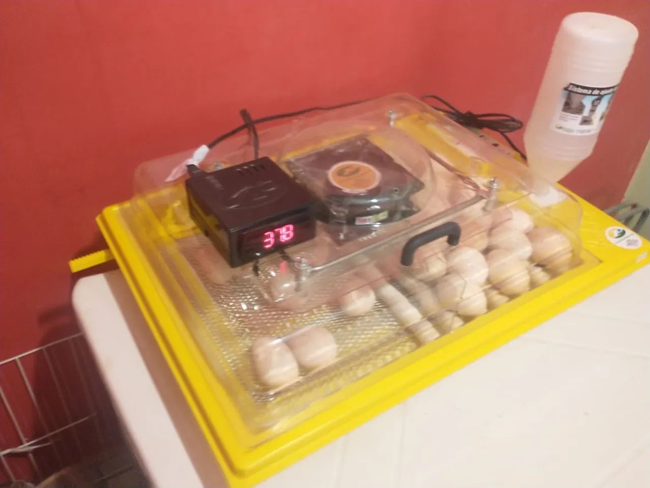 Chocadeira Premium Ecológica 48 ovos - Foto 4