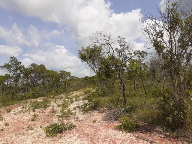 Fazenda em Caxias do Maranhão - Foto 5