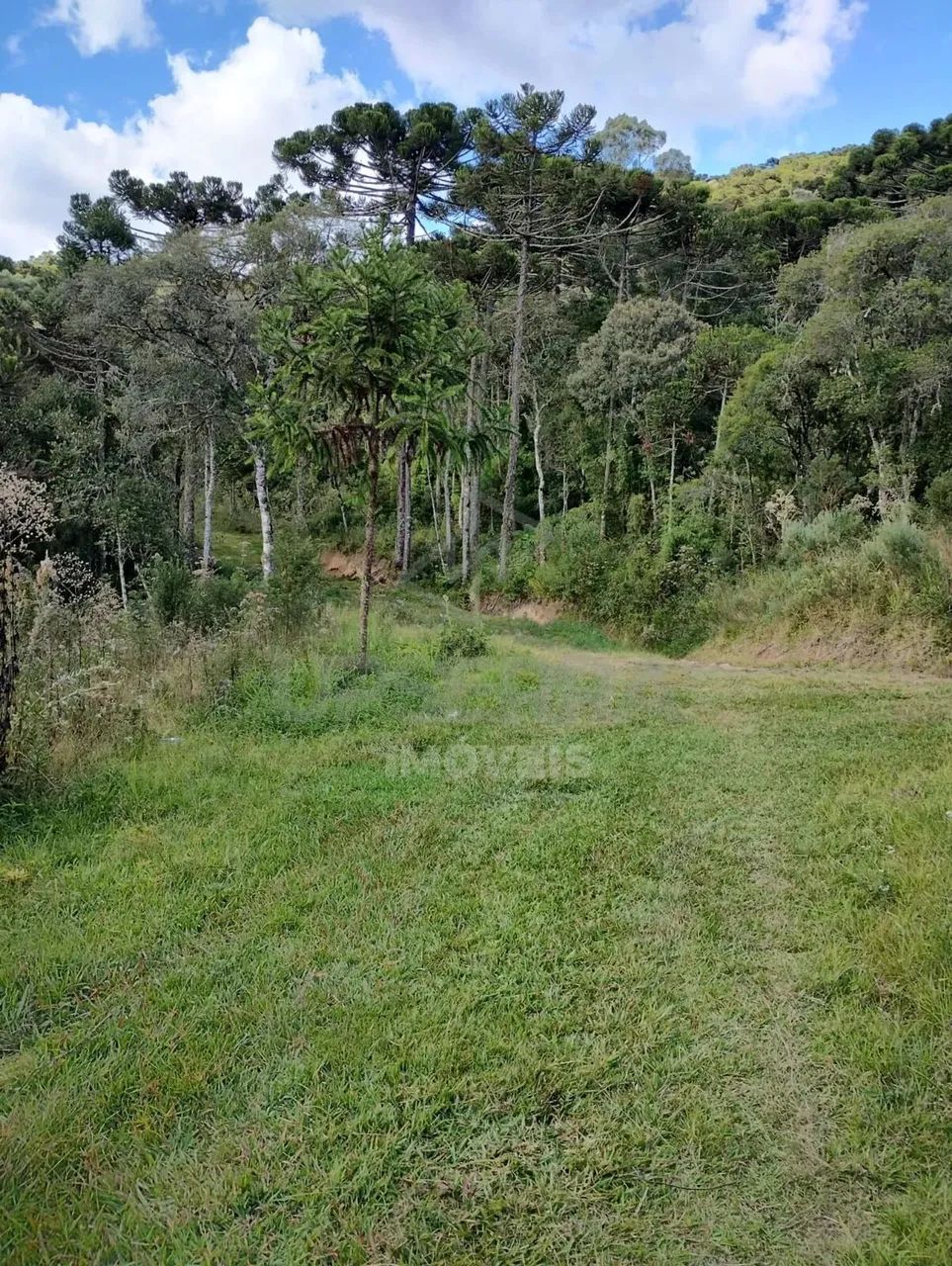 Area Rural em Urubici 7 hectares - Foto 3