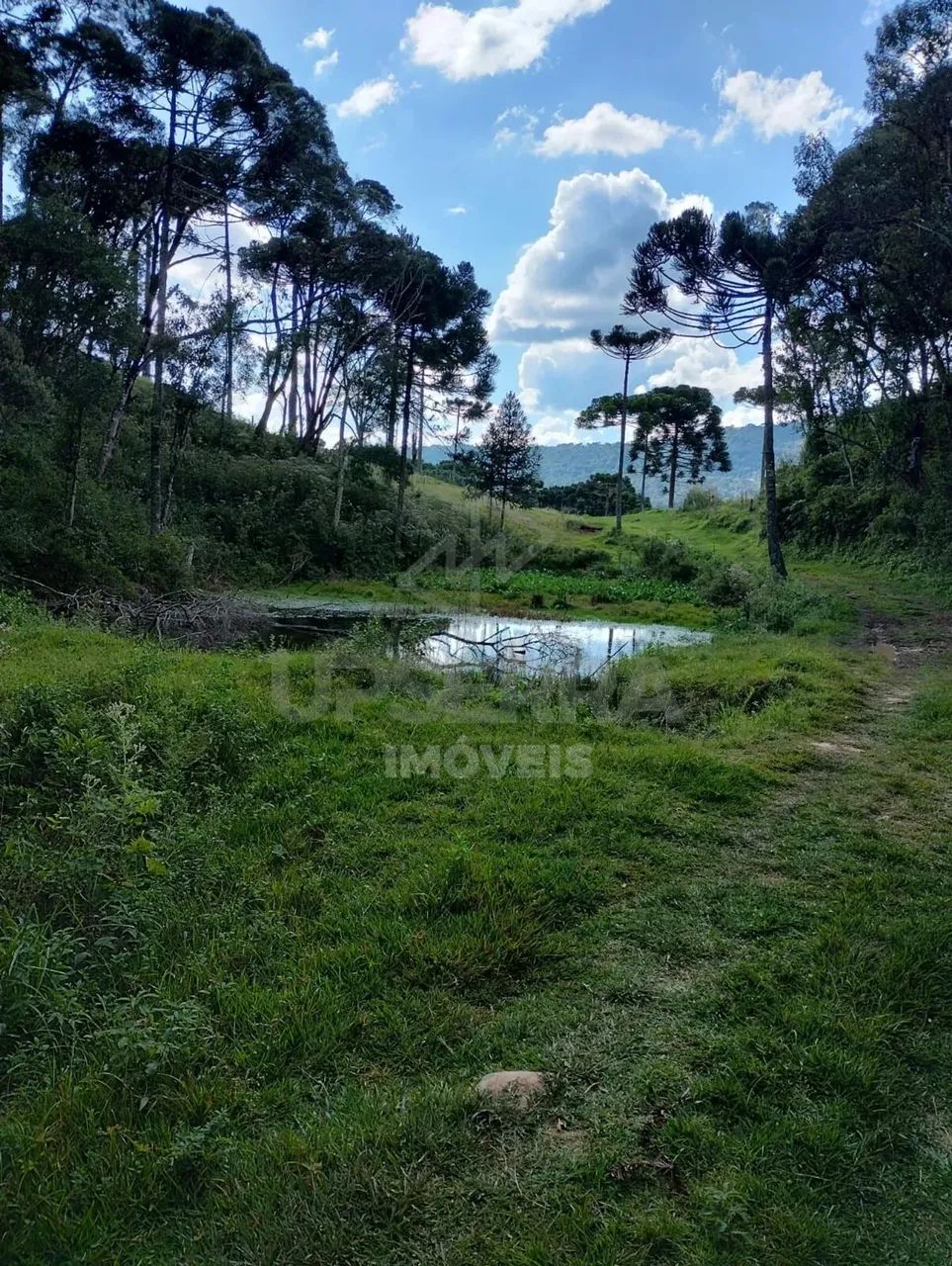 Area Rural em Urubici 7 hectares