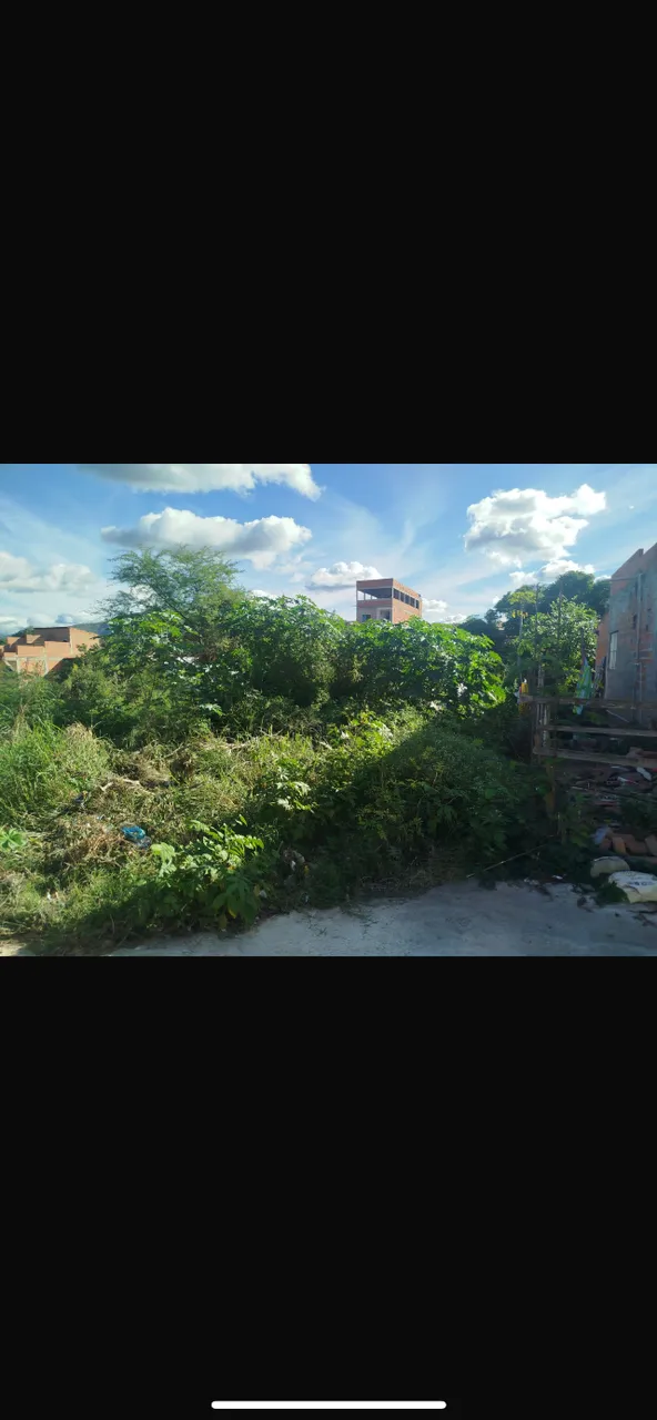 Terreno